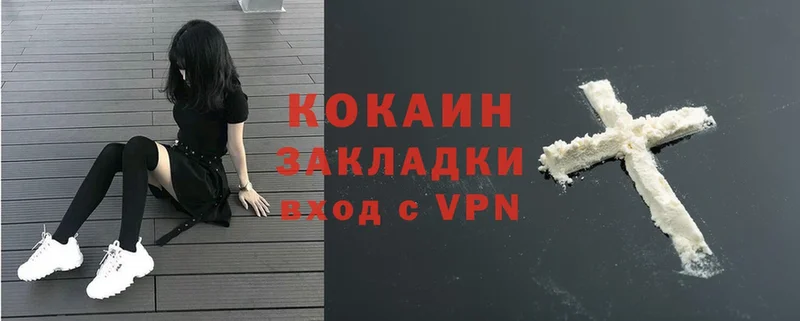 COCAIN FishScale  купить   Болотное 